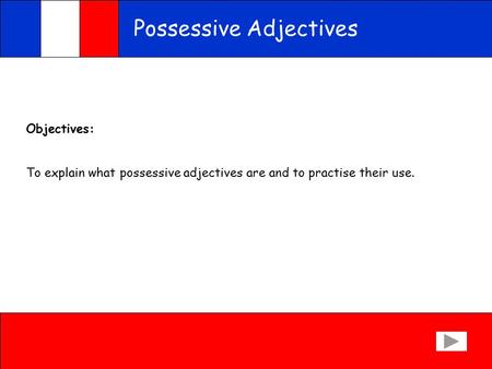Possessive Adjectives Objectives: To explain what possessive adjectives are and to practise their use.