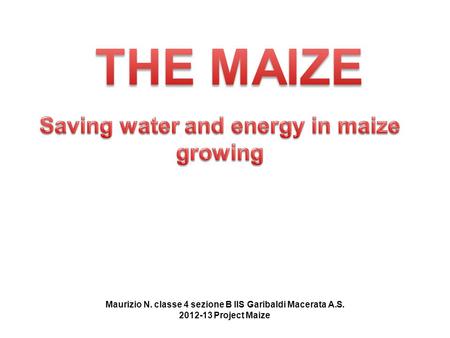 Maurizio N. classe 4 sezione B IIS Garibaldi Macerata A.S. 2012-13 Project Maize.