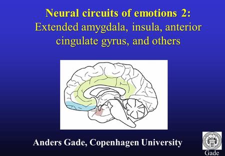 1 Gade Neural circuits of emotions 2: Extended amygdala, insula, anterior cingulate gyrus, and others Anders Gade, Copenhagen University.
