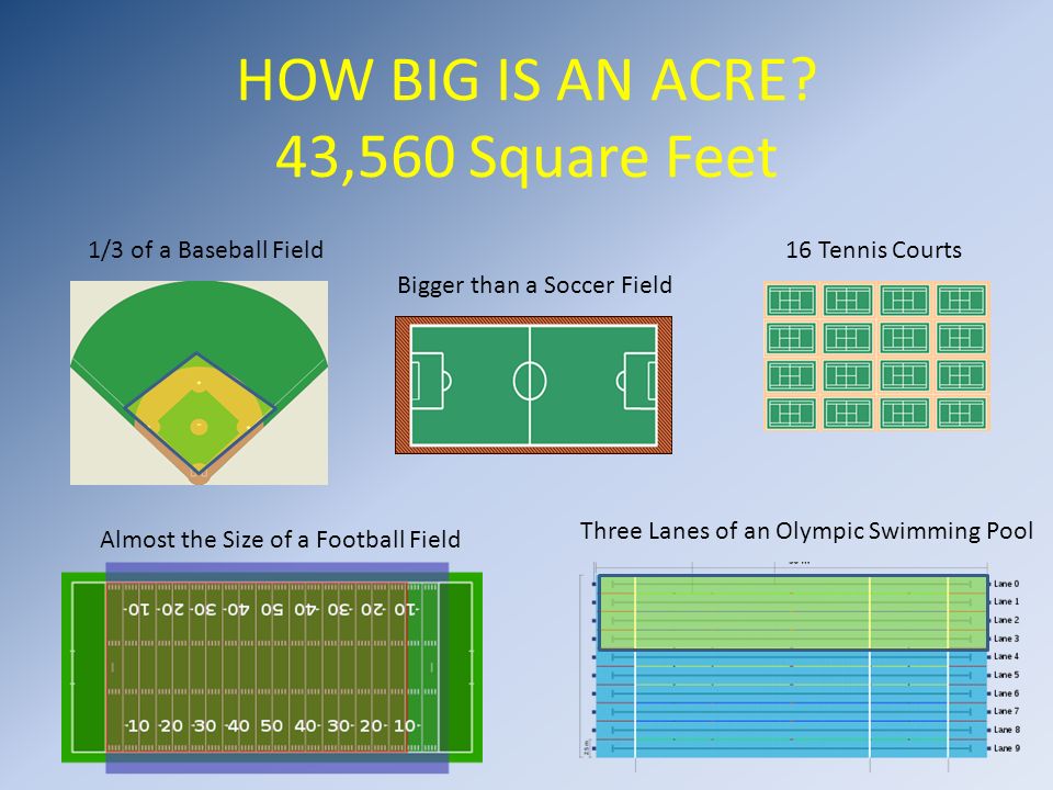 Acres To Square Feet 61