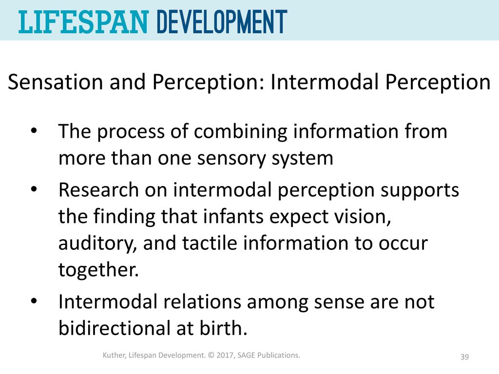 physical development in infancy and toddlerhood ppt video online intermodal perception