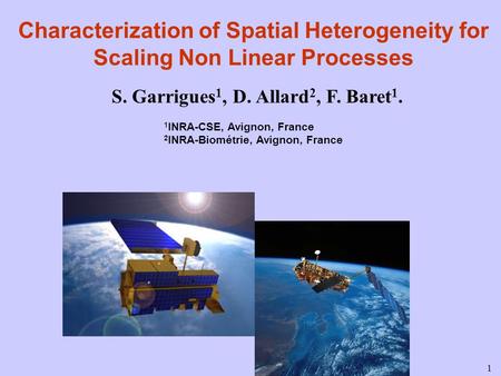 1 Characterization of Spatial Heterogeneity for Scaling Non Linear Processes S. Garrigues 1, D. Allard 2, F. Baret 1. 1 INRA-CSE, Avignon, France 2 INRA-Biométrie,