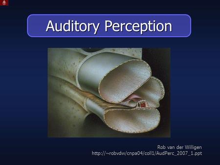 Rob van der Willigen  Auditory Perception.
