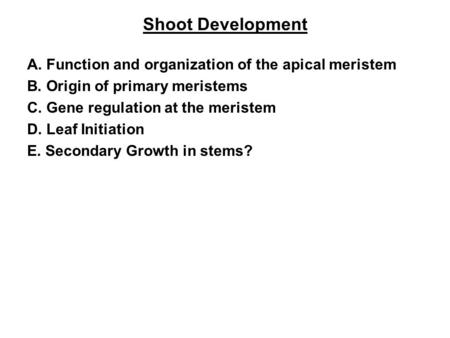 Shoot Development A. Function and organization of the apical meristem