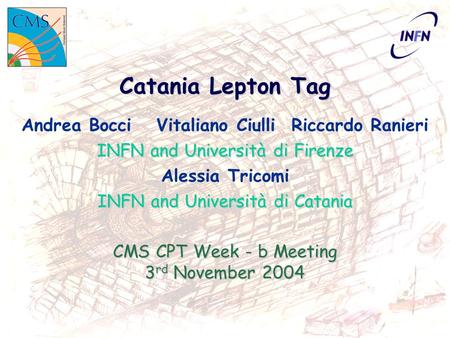 Catania Lepton Tag Andrea BocciVitaliano CiulliRiccardo Ranieri INFN and Università di Firenze Alessia Tricomi INFN and Università di Catania CMS CPT Week.