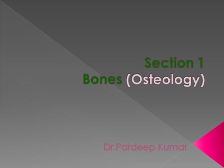 Section 1 Bones (Osteology)