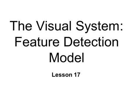 The Visual System: Feature Detection Model Lesson 17.