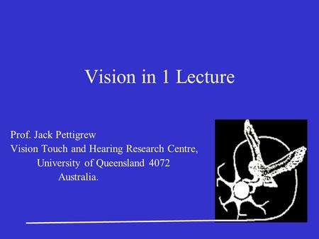 Vision in 1 Lecture Prof. Jack Pettigrew Vision Touch and Hearing Research Centre, University of Queensland 4072 Australia.