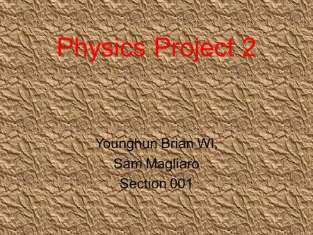 Physics Project 2 Younghun Brian Wi, Sam Magliaro Section 001.