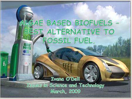 MY STANCE Biofuel made out of algae - best alternative to fossil fuel. No issues with deforestation, food shortages, and pollution.