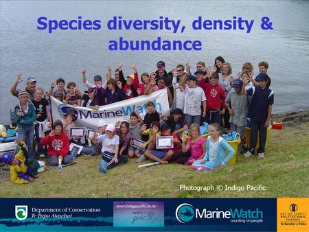 Species diversity, density & abundance Photograph © Indigo Pacific.