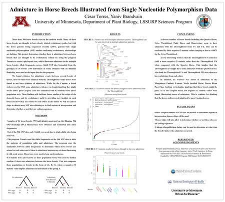 Admixture in Horse Breeds Illustrated from Single Nucleotide Polymorphism Data César Torres, Yaniv Brandvain University of Minnesota, Department of Plant.