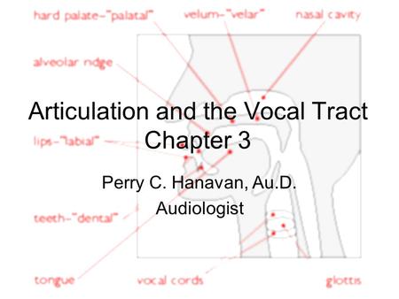 Articulation and the Vocal Tract Chapter 3 Perry C. Hanavan, Au.D. Audiologist.