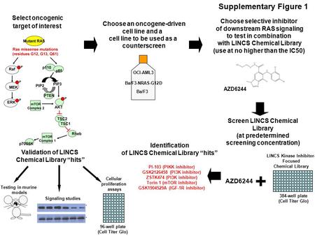 Supplementary Figure 1 Select oncogenic target of interest Choose an oncogene-driven cell line and a cell line to be used as a counterscreen OCI-AML3 Ba/F3-NRAS-G12D.