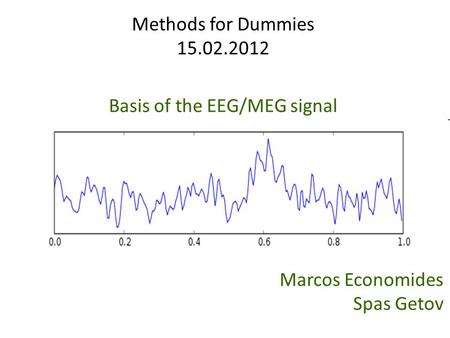 Basis of the EEG/MEG signal