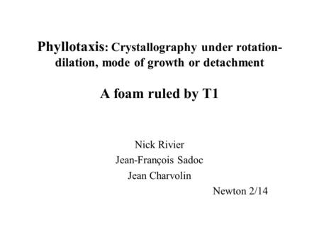 Phyllotaxis : Crystallography under rotation- dilation, mode of growth or detachment A foam ruled by T1 Nick Rivier Jean-François Sadoc Jean Charvolin.