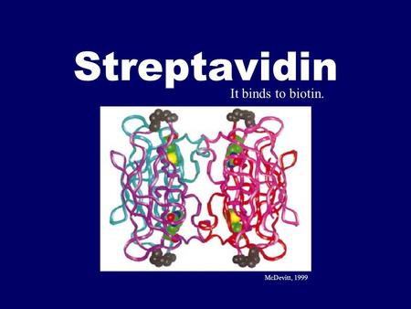 Streptavidin McDevitt, 1999 It binds to biotin.. Streptavidinfo Found in bacteria Streptomyces avidinii Full-length ~160 aa ’ s, core ~ 140 aa ’ s Binds.