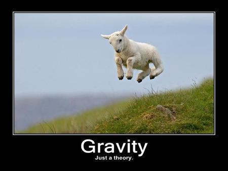 What is Gravity? Write down anything you may know about gravity.