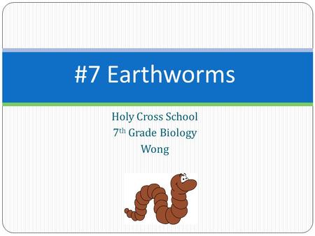 Holy Cross School 7th Grade Biology Wong
