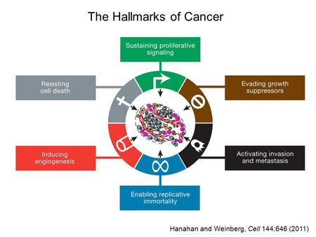 The Hallmarks of Cancer