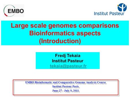 Large scale genomes comparisons Bioinformatics aspects (Introduction) Fredj Tekaia Institut Pasteur EMBO Bioinformatic and Comparative.