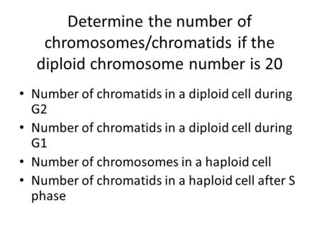 Number of chromatids in a diploid cell during G2