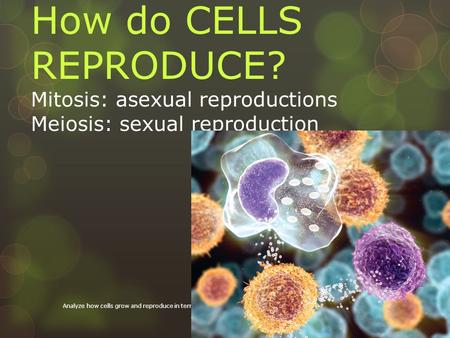How do CELLS REPRODUCE? Mitosis: asexual reproductions Meiosis: sexual reproduction Analyze how cells grow and reproduce in terms of.