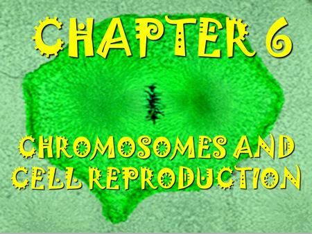 CHROMOSOMES AND CELL REPRODUCTION