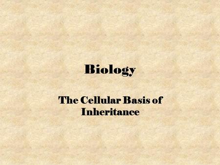 Biology The Cellular Basis of Inheritance. Why Do Cells Divide? Cell Division is the splitting of a single cell into 2 cells. 3 life processes occur: