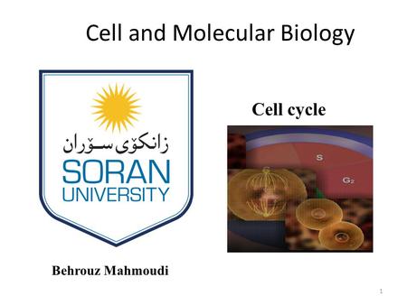 Cell and Molecular Biology Behrouz Mahmoudi Cell cycle 1.
