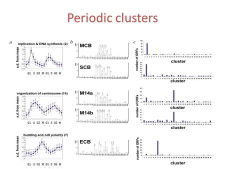 Periodic clusters. Non periodic clusters That was only the beginning…