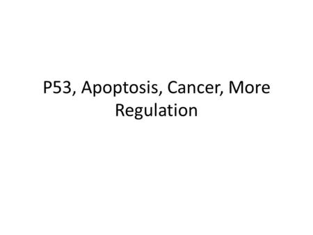 P53, Apoptosis, Cancer, More Regulation G1 checkpoint Controlled by G1 Cdk-cyclin G1 cyclin levels also vary with the cell cycle Many additional levels.