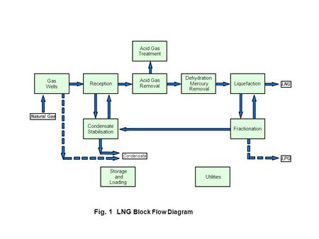 Fig. 1 LNG Block Flow Diagram