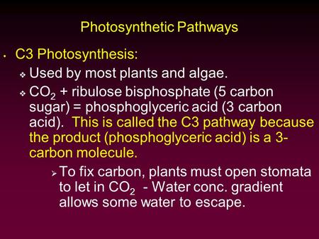 Photosynthetic Pathways C3 Photosynthesis:  Used by most plants and algae.  CO 2 + ribulose bisphosphate (5 carbon sugar) = phosphoglyceric acid (3 carbon.