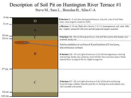 Description of Soil Pit on Huntington River Terrace #1 Steve M., Sara L., Brendan H., Silas C-A 0 cm 100 cm 57 cm 18 cm 92 cm O A E B C A Horizon (5-18.