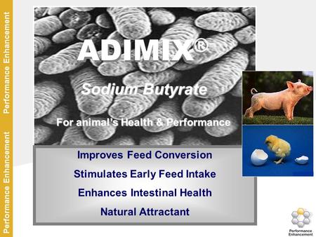 ADIMIX® ADIMIX® Sodium Butyrate For animal’s Health & Performance