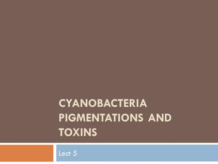 CYANOBACTERIA PIGMENTATIONS AND TOXINS Lect 5. Cyanobacteria Pigmentation  Pigments are chemical compounds which reflect only certain wavelengths of.