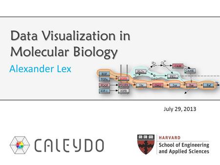 Data Visualization in Molecular Biology Alexander Lex July 29, 2013.