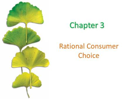 Rational Consumer Choice. Chapter Outline The Opportunity Set or Budget Constraint Budget Shifts Due to Price or Income Changes Consumer Preferences The.