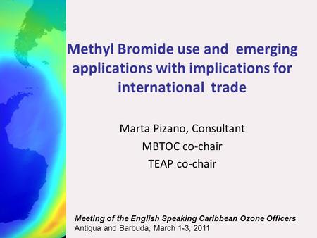 Methyl Bromide use and emerging applications with implications for international trade Marta Pizano, Consultant MBTOC co-chair TEAP co-chair Meeting of.