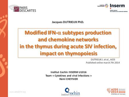 Www.aids2014.org Modified IFN-  subtypes production and chemokine networks in the thymus during acute SIV infection, impact on thymopoiesis Jacques DUTRIEUX.