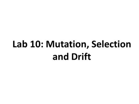 Lab 10: Mutation, Selection and Drift