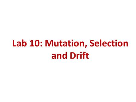 Lab 10: Mutation, Selection and Drift. Goals 1.Effect of mutation on allele frequency. 2.Effect of mutation and selection on allele frequency. 3.Effect.