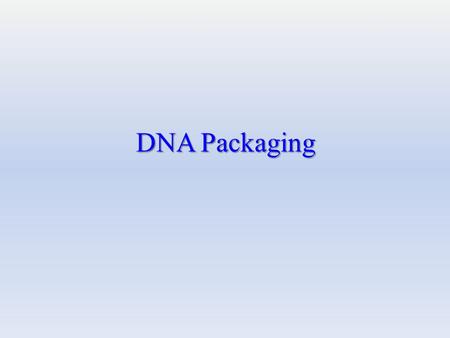 DNA Packaging.