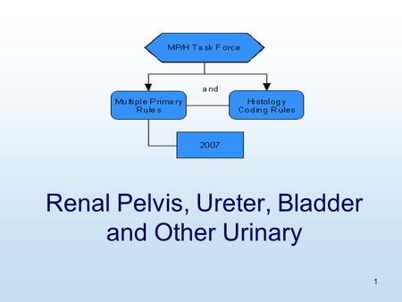 1 Renal Pelvis, Ureter, Bladder and Other Urinary.