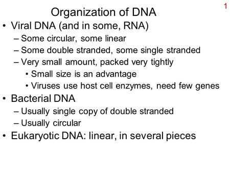 1 Organization of DNA Viral DNA (and in some, RNA) –Some circular, some linear –Some double stranded, some single stranded –Very small amount, packed very.