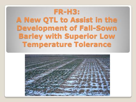 FR-H3: A New QTL to Assist in the Development of Fall-Sown Barley with Superior Low Temperature Tolerance.