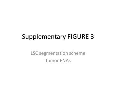 Supplementary FIGURE 3 LSC segmentation scheme Tumor FNAs.