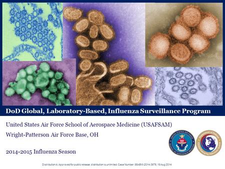 DoD Global, Laboratory-Based, Influenza Surveillance Program