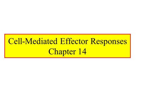 Cell-Mediated Effector Responses Chapter 14
